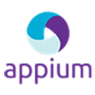 automated software testing