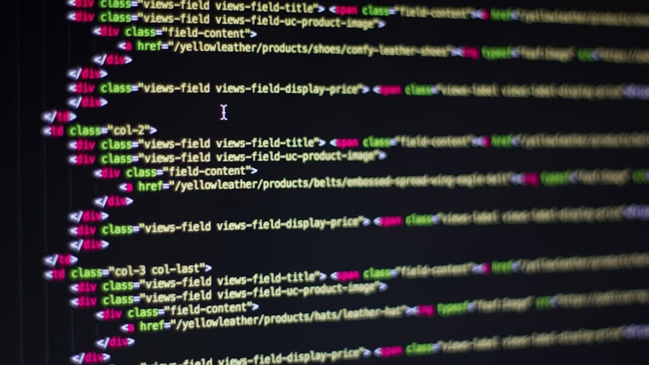 what-is-custom-software-development