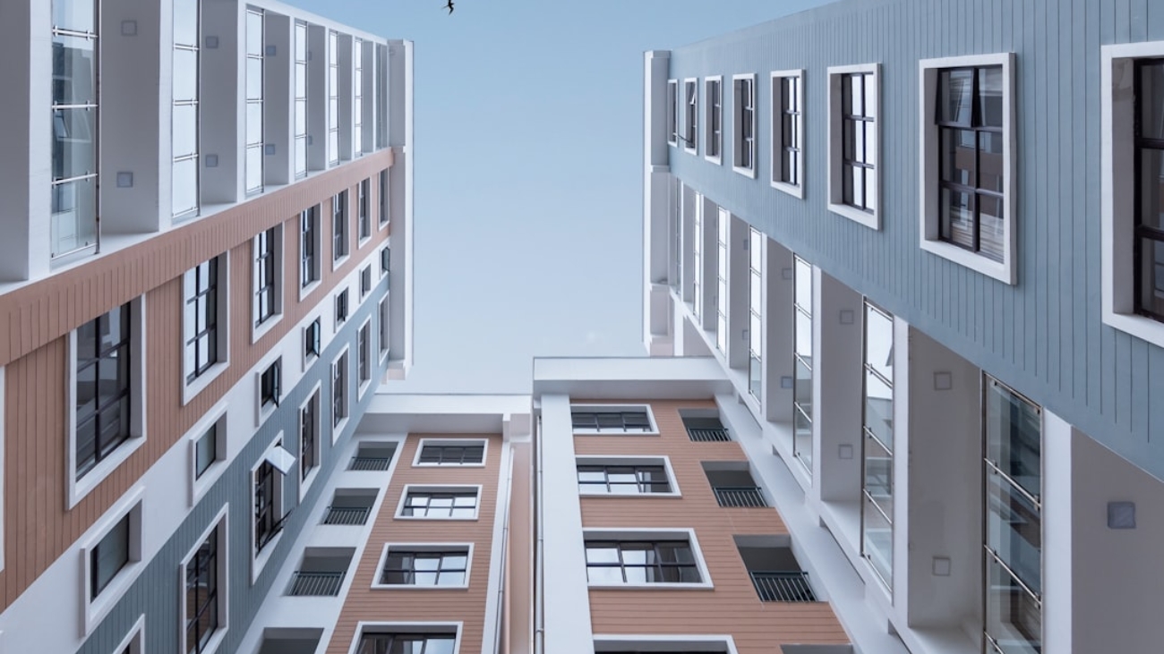 elevated-strategies