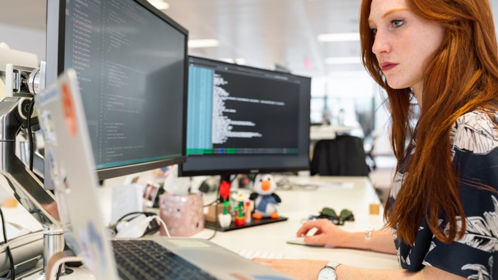 what-do-developers-do-to-support-software-products